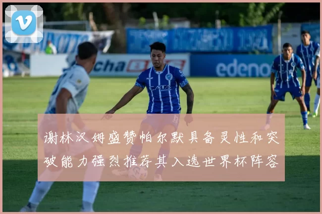 谢林汉姆盛赞帕尔默具备灵性和突破能力强烈推荐其入选世界杯阵容